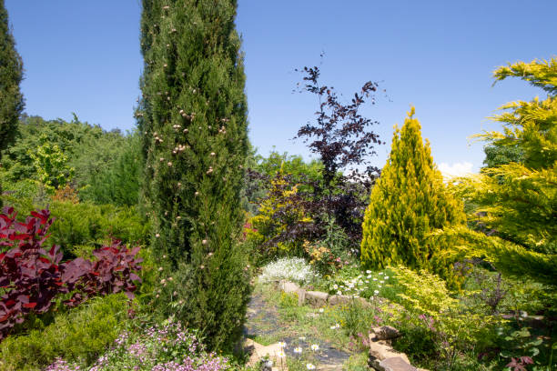 istock Garden in house yard 2155995259