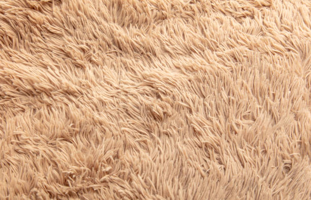 istock Beige shag carpet as an abstract background. Texture 2155995727
