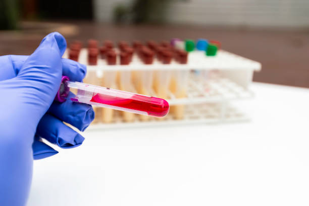 Scientists test the chemical reactions of the colored liquid solution and test biological fluids in test tubes.