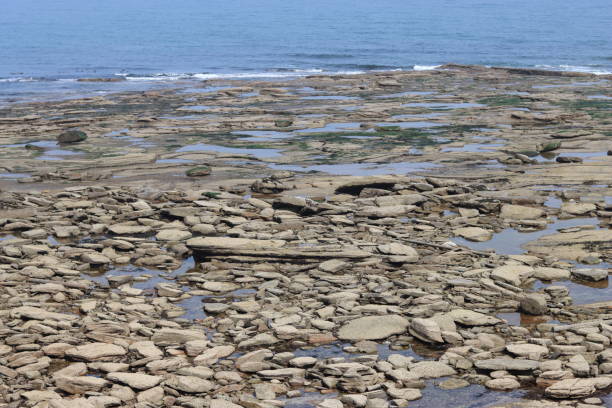 istock Large flat boulders on a rocky coastline 2155998333