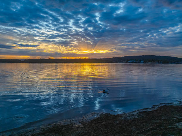 istock Sunrise over the bay water with clouds and reflections 2155998657