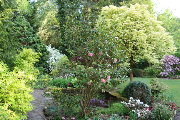 istock Garden pond surrounded by ornamental trees, shrubs and flowers 2155998789