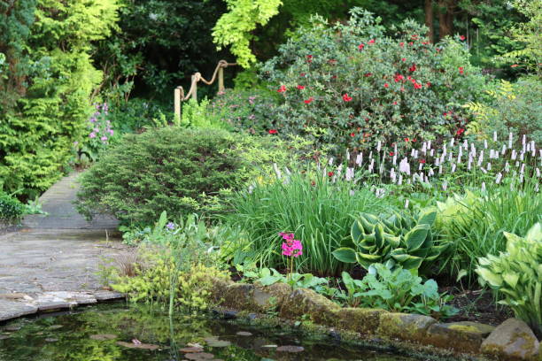istock Garden pond surrounded by ornamental trees, shrubs and flowers 2155998967