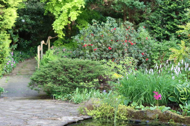istock Garden pond surrounded by ornamental trees, shrubs and flowers 2155998998