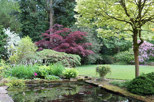 istock Garden pond surrounded by ornamental trees, shrubs and flowers 2155999814