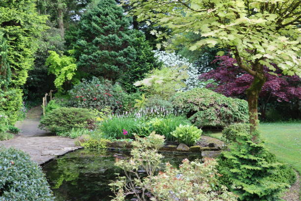 Garden pond surrounded by ornamental trees, shrubs and flowers