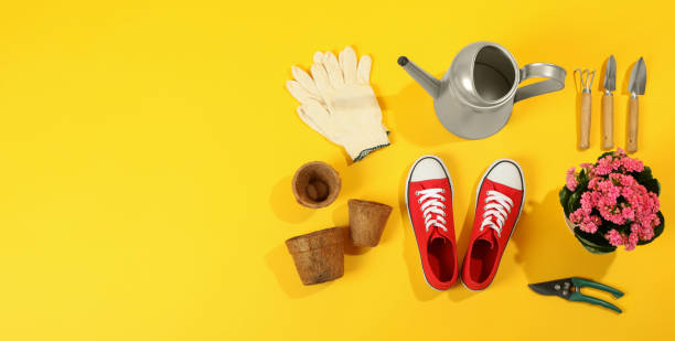 istock Gardening tools and accessories on yellow background 2156003185