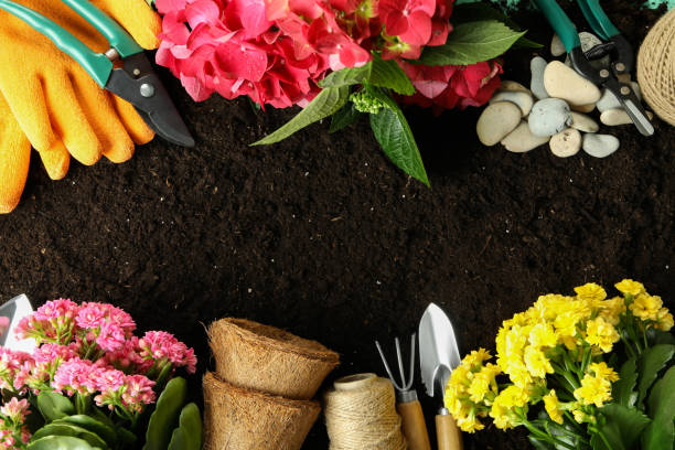 istock Gardening tools and accessories on soil background 2156004205