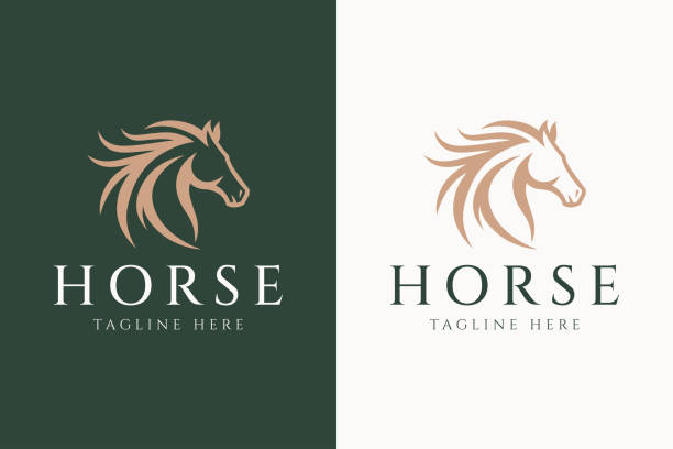 pferd logo reiter silhouette kopf hengst zeichen symbol ställe markenidentität - pferd stock-grafiken, -clipart, -cartoons und -symbole