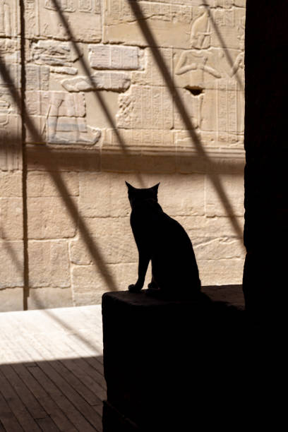 Long ago in Egypt, cats were considered sacred