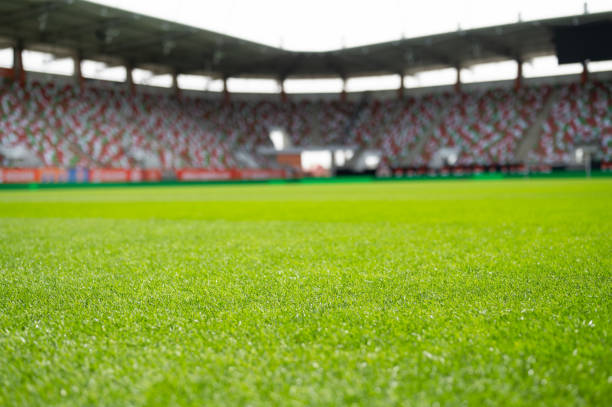 istock Grass at the football stadium 2156008698
