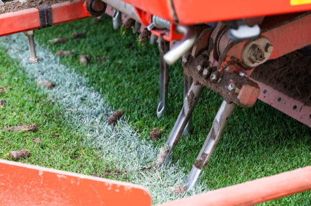 Aerated lawn