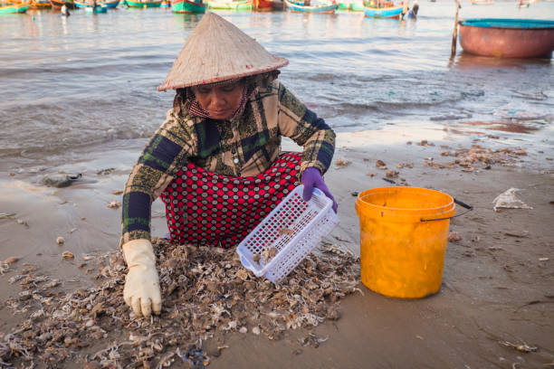 istock Vietnamese woman sorting fresh catch, Mui Ne 2156009164