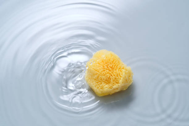 istock Natural sponge on a blue background with water. 2156012650