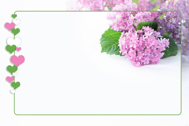 beautiful pink and purple hydrangea bouquet with white background. /heart frame.