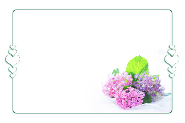 A lush and colorful arrangement of freshly picked mountain wildflowers, featuring purple bluebells, white daisies, and vibrant pink carnations mixed with green oat stalks. Set against a soft, blurred green forest background, the bouquet captures the natural beauty of high-altitude summer meadows.