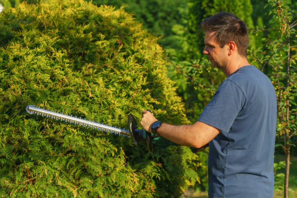 istock a white man trims bushes using cordless hedge trimmers 2156014531