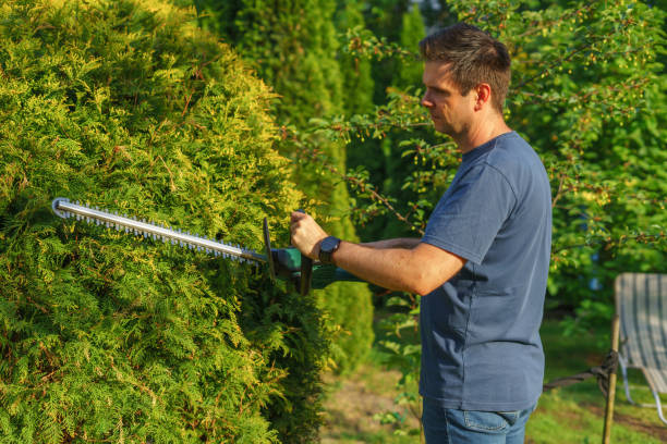 istock a white man trims bushes using cordless hedge trimmers 2156014647
