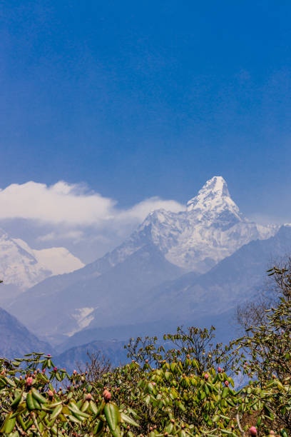 istock Ama Dablam mountain summit peak in Himalaya mountain range, Nepal 2156015634
