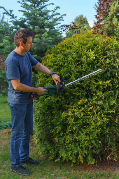 a white man trims bushes using cordless hedge trimmers