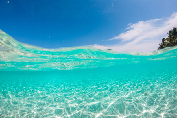 istock Clear Turquoise Sea In Maldives 2156016240