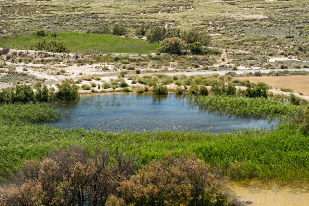 istock Oasis in Las Bardenas Reales, Spain 2156016538