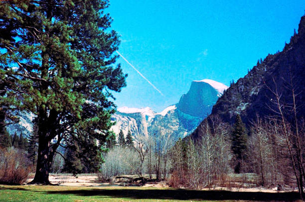 View towards the Half Dome looking down the valley of Yosemite National Park USA
