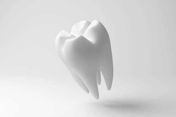 istock White human molar tooth floating in mid air on white background in monochrome and minimalism. Illustration of the concept of dental health and oral hygiene 2156019910