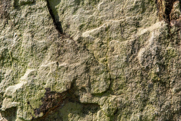 Surface of beige natural stone