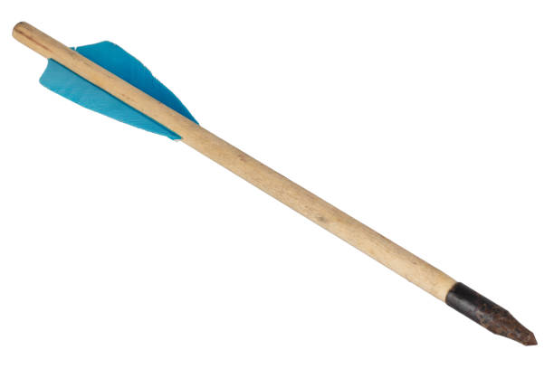 istock Wooden crossbow bolt 2156024267