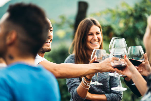 istock happiness friend toasting at summer 2156027745