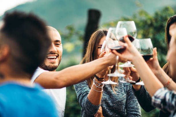 istock happiness friend toasting at summer 2156027777