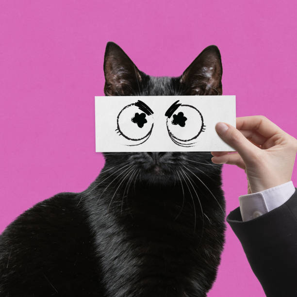 Black cat against vivid pink background, muzzle humorously hiding behind hand-held card with cartoonish eyes drawn on. Creative collage. Concept of animal theme, emotions, fun, creativity, inspiration