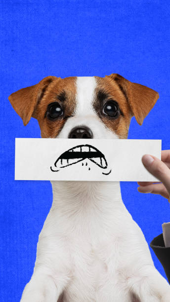 istock Shocked muzzle. Purebred dog against blue background, with human hand holding drawn cartoonish eyes. Creative collage. 2156027871