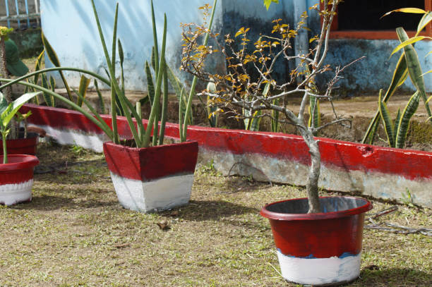 istock Flower pots in the yard 2156028251