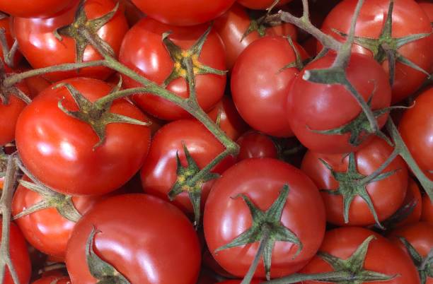 istock Heap of ripe tomatoes close-up 2156030382