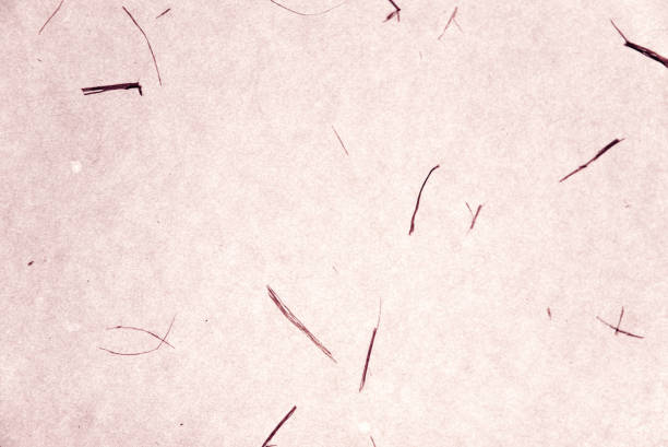 Texture of craft paper