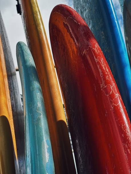 istock Row of surfboards lined up outside. 2156035267