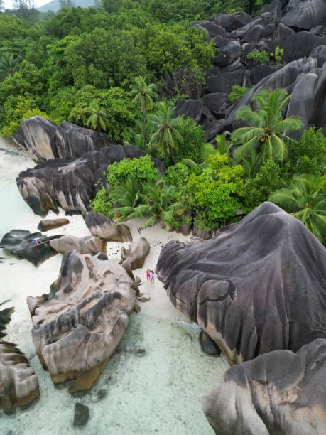 istock Seychelles with rocks, trees, and ocean water in the background 2156036091
