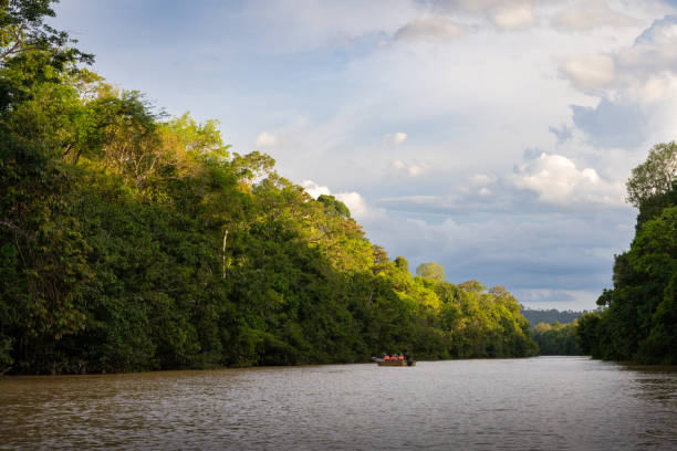 istock Kinabatangan River in Malaysia 2156036668