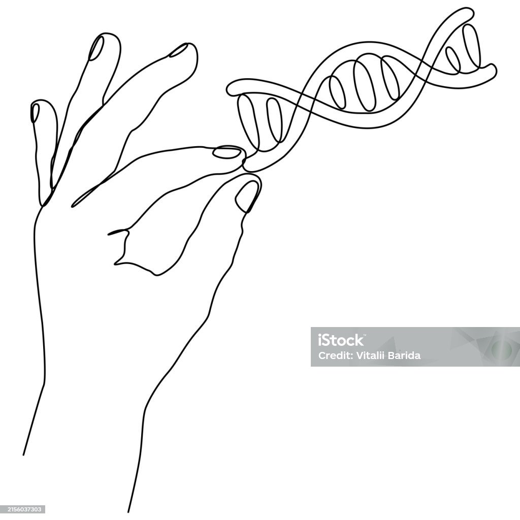 Isolated Dna Drawing Dna In Hand Continuous One Line Drawing Stock Illustration - Download ...