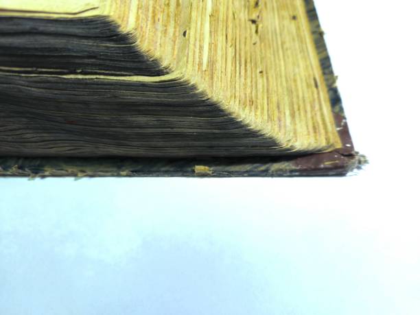 istock Opened old book with exposed pages put on the table 2156038892