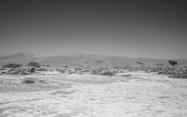 A black & white shot of a sandy desert landscape in Namibia.