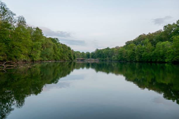 istock a lake surrounded by lush trees and some sky in the background 2156040861