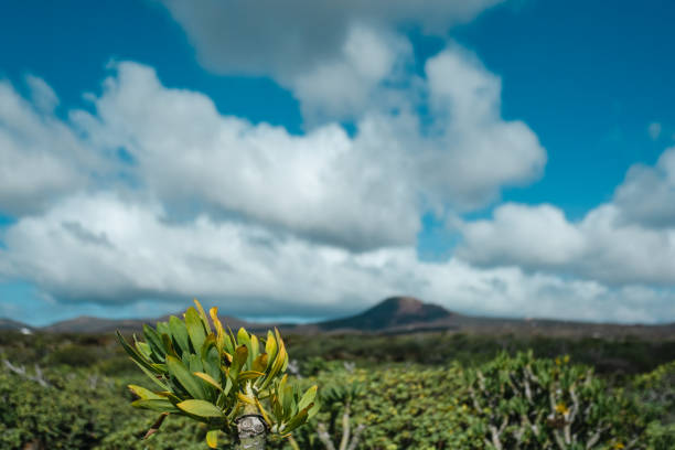 Panorama of a volcanic cone on the horizon