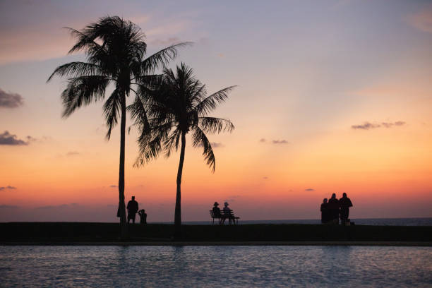 Sunset over ocean with palm trees in view