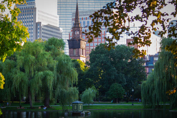 istock Serene park with a row of trees, water, and distant buildings 2156043973