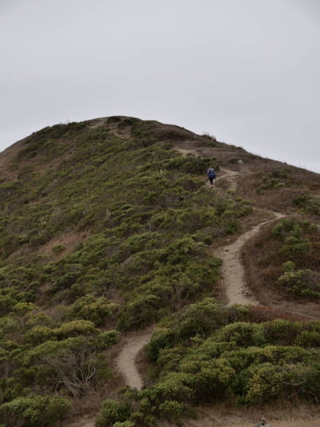 istock Hiker ascending a hill in California 2156044596