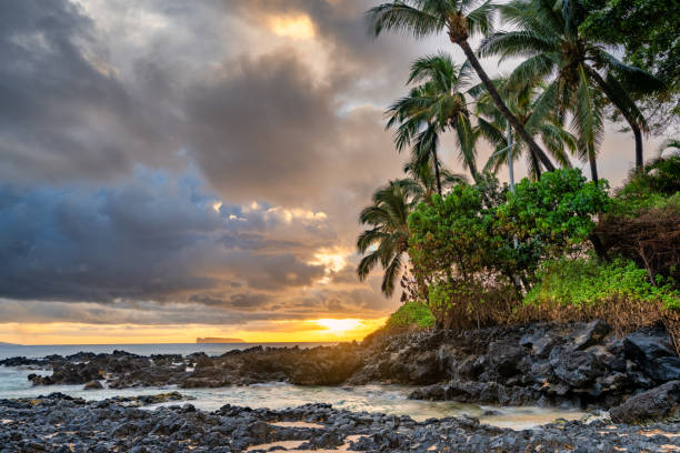 istock Sunset on a tropical beach with silhouetted palm trees in Maui, Hawaii 2156046375