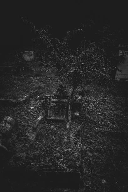 istock a grave sits near a tree in the woods at night 2156047979